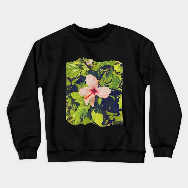 Pretty Pink Flowers Photography design with blue sky nature lovers Crewneck Sweatshirt by BoogieCreates